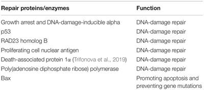 Research Progress on the Role of Vitamin D in Autism Spectrum Disorder